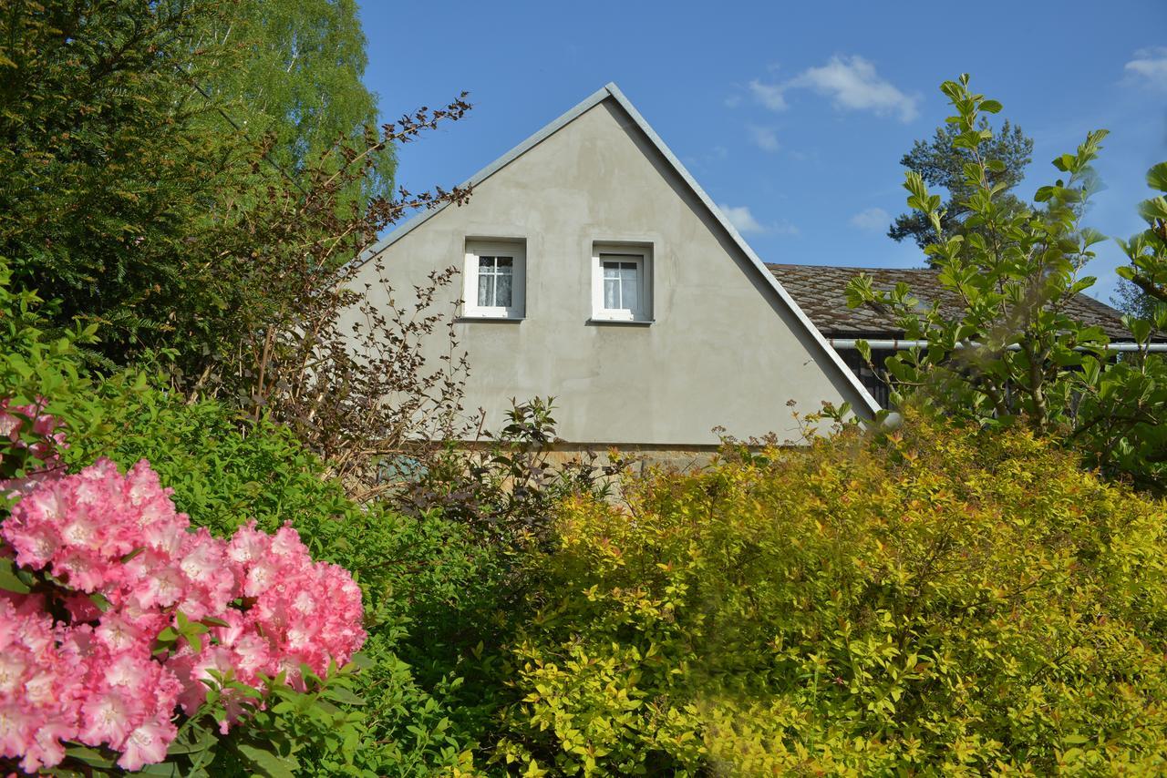 Homestay Buseranda - Depandance U Zeleneho Stromu Decin