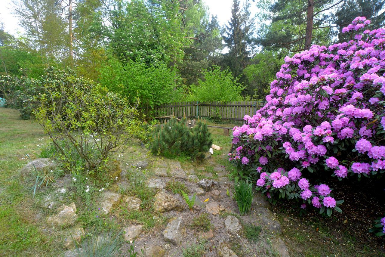 Bušeranda - Depandance U Zeleného Stromu Ubytování v soukromí Decin